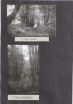 Ewidencja parkowa, skan nr 23