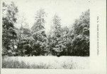 Ewidencja parkowa, skan nr 24