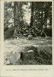 Ewidencja parkowa, skan nr 27