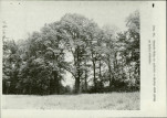 Ewidencja parkowa, skan nr 28