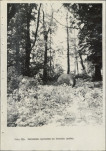 Ewidencja parkowa, skan nr 32