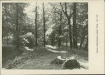 Ewidencja parkowa, skan nr 34