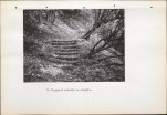 Ewidencja parkowa, skan nr 28
