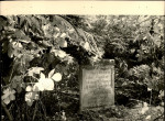 Ewidencja parkowa, skan nr 31