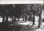 Ewidencja parkowa, skan nr 26