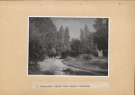 Ewidencja parkowa, skan nr 54