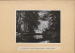 Ewidencja parkowa, skan nr 57