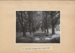 Ewidencja parkowa, skan nr 66