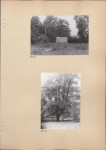 Ewidencja parkowa, skan nr 29