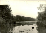 Ewidencja parkowa, skan nr 27