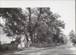 Ewidencja parkowa, skan nr 21