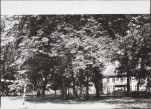 Ewidencja parkowa, skan nr 25
