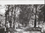 Ewidencja parkowa, skan nr 21