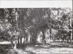 Ewidencja parkowa, skan nr 23