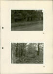 Ewidencja parkowa, skan nr 33