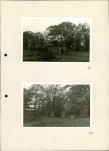 Ewidencja parkowa, skan nr 34