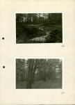 Ewidencja parkowa, skan nr 37