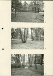 Ewidencja parkowa, skan nr 36