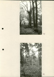 Ewidencja parkowa, skan nr 39