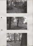 Ewidencja parkowa, skan nr 28