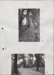 Ewidencja parkowa, skan nr 30