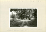 Ewidencja parkowa, skan nr 31