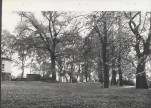 Ewidencja parkowa, skan nr 19