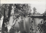 Ewidencja parkowa, skan nr 23