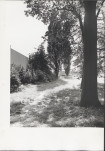 Ewidencja parkowa, skan nr 24
