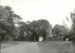 Ewidencja parkowa, skan nr 15