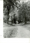Ewidencja parkowa, skan nr 17