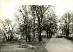 Ewidencja parkowa, skan nr 16