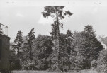 Ewidencja parkowa, skan nr 20