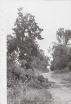 Ewidencja parkowa, skan nr 51