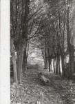 Ewidencja parkowa, skan nr 23