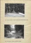 Ewidencja parkowa, skan nr 26