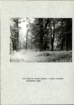 Ewidencja parkowa, skan nr 51