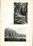 Ewidencja parkowa, skan nr 42