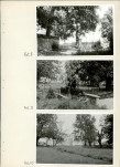Ewidencja parkowa, skan nr 51