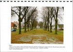 Ewidencja parkowa, skan nr 22