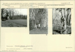 KB - Karta biała, skan nr 10