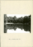 Ewidencja parkowa, skan nr 19