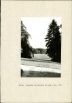 Ewidencja parkowa, skan nr 21