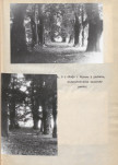 EP - Ewidencja parkowa, skan nr 20
