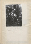 Ewidencja parkowa, skan nr 23