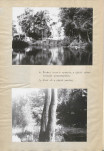 Ewidencja parkowa, skan nr 24