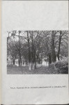 Ewidencja parkowa, skan nr 11