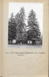 Ewidencja parkowa, skan nr 14