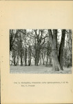 Ewidencja parkowa, skan nr 14