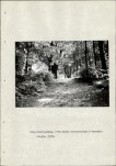 Ewidencja parkowa, skan nr 12